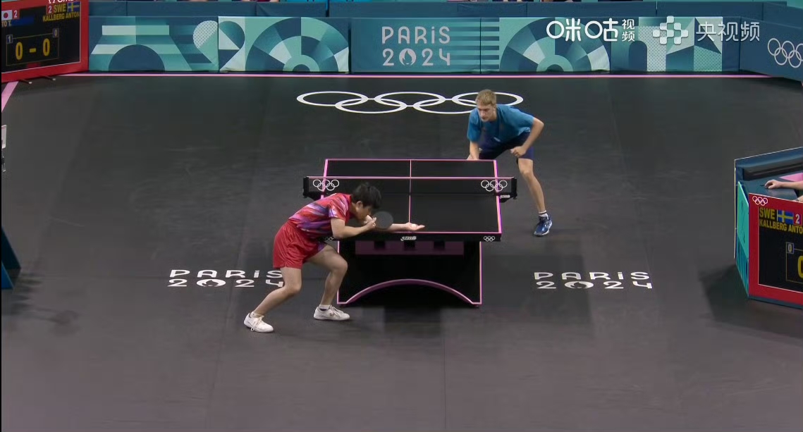 日本队完胜瑞典队，张本智和统治全场的简单介绍