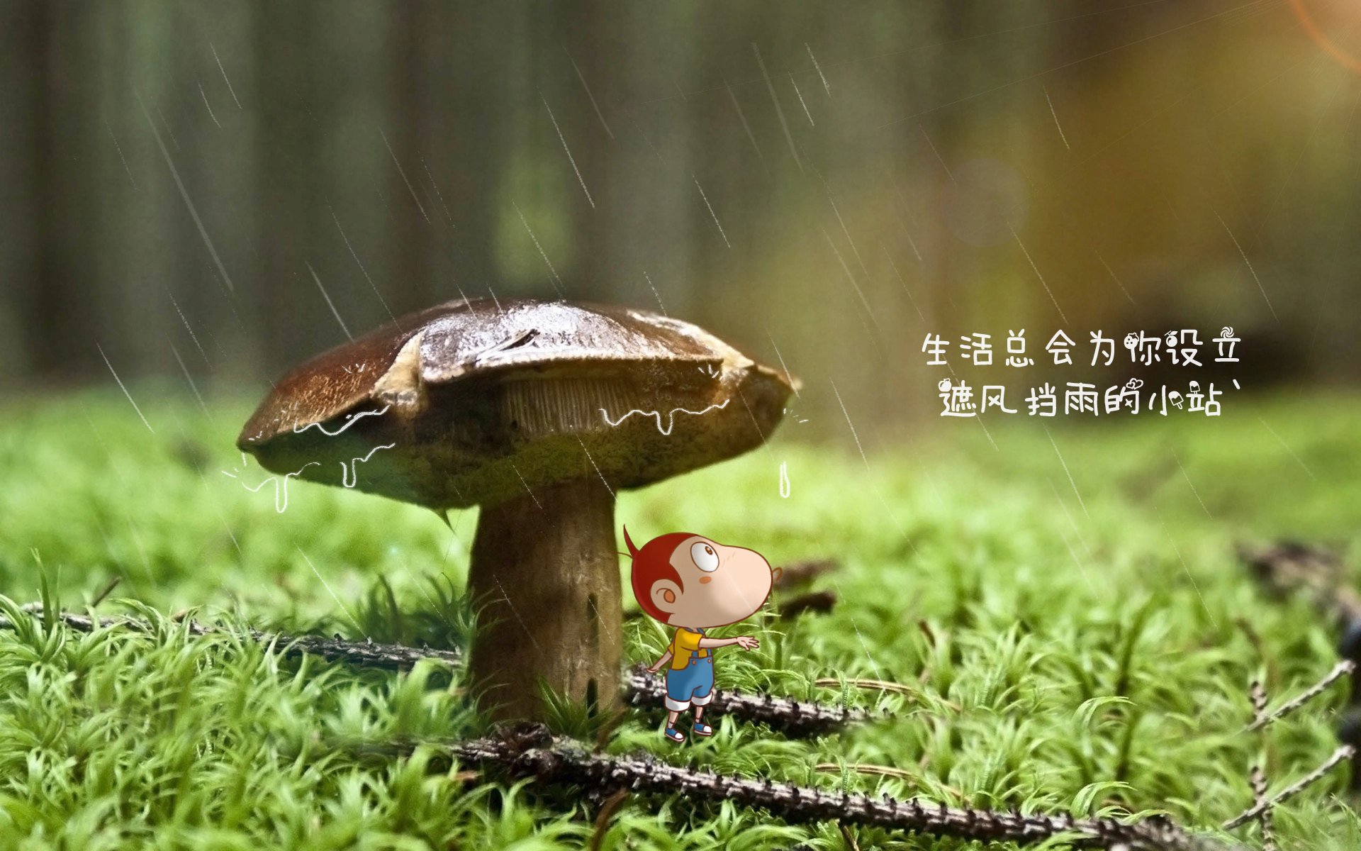 节奏的圆舞曲，武切维奇如何在对阵太阳时成为魔术的低位指挥家