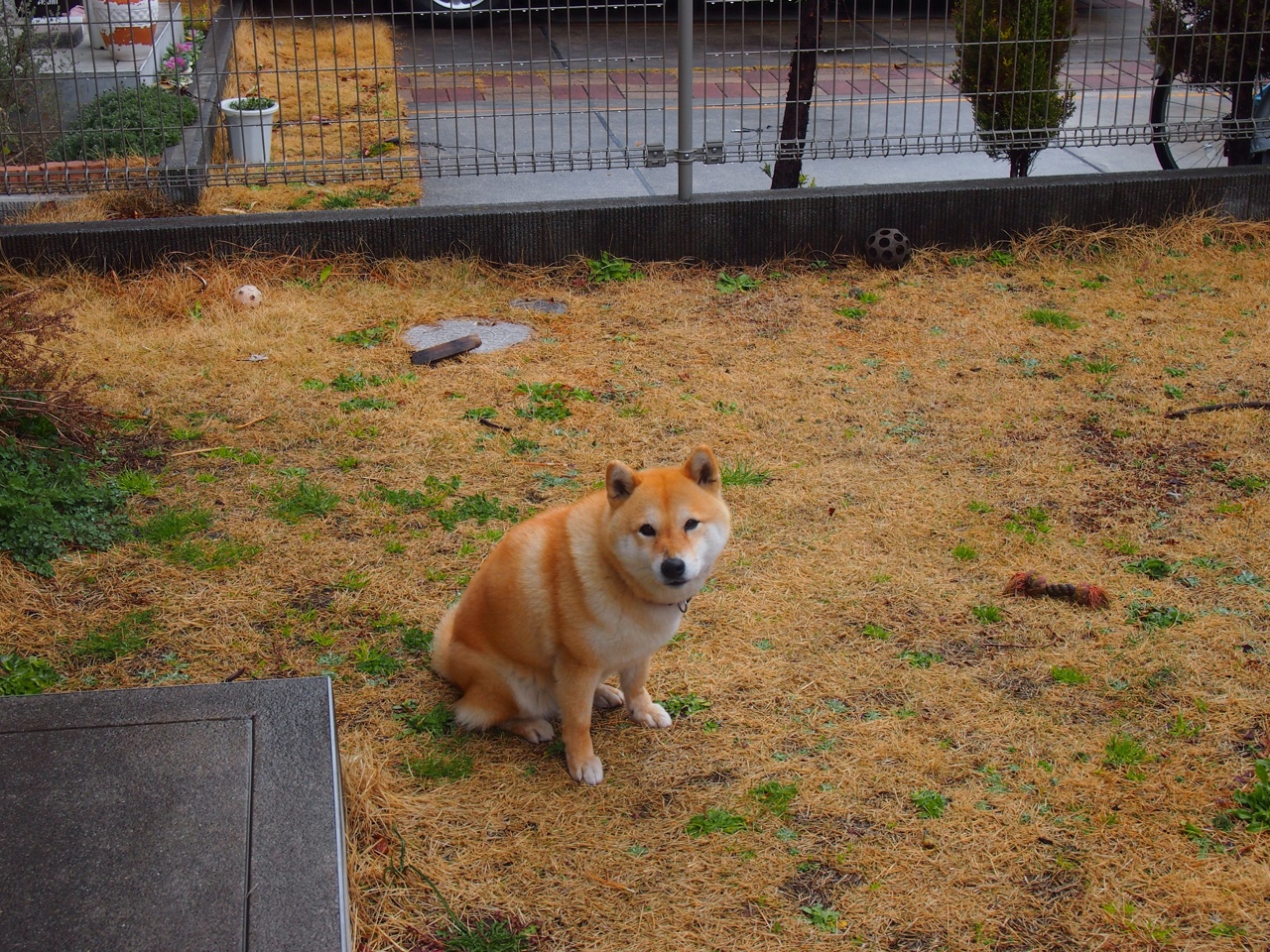 马克西独木难舟，辽宁末节团队风暴带走明星公牛