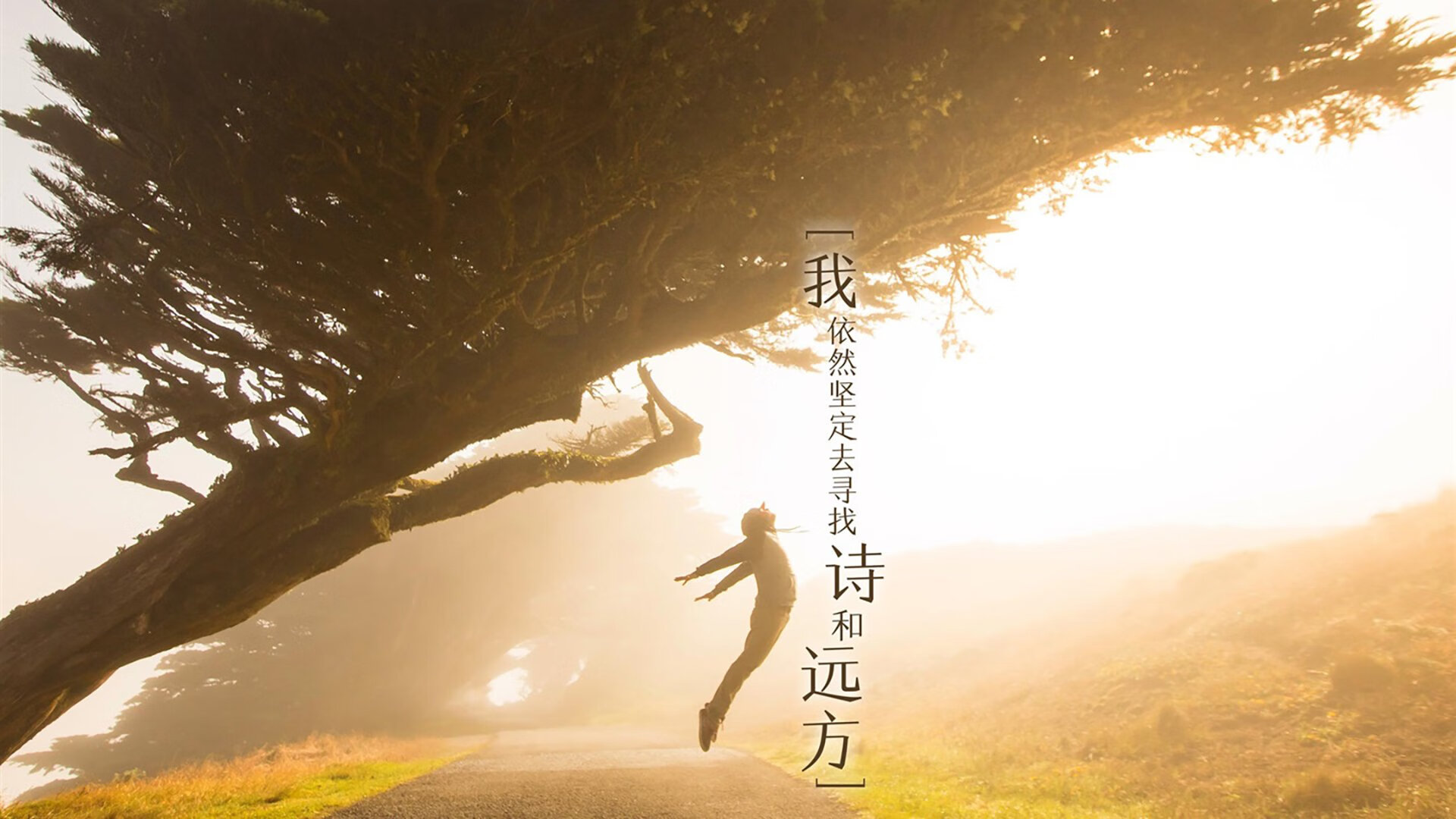 时空的篡改者，哈利伯顿在西决生死战接管比赛