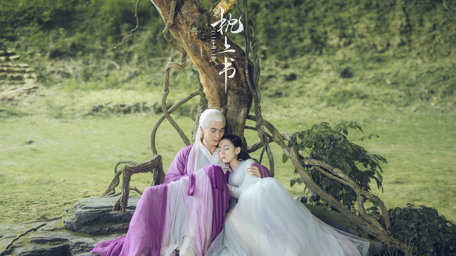 厄瓜多尔，足球世界的新冰岛？阿劳霍如何用双脚书写美洲新秩序