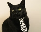 最后一秒的命运拨盘，当马刺压哨绝杀遇上F1冠军的终局接管