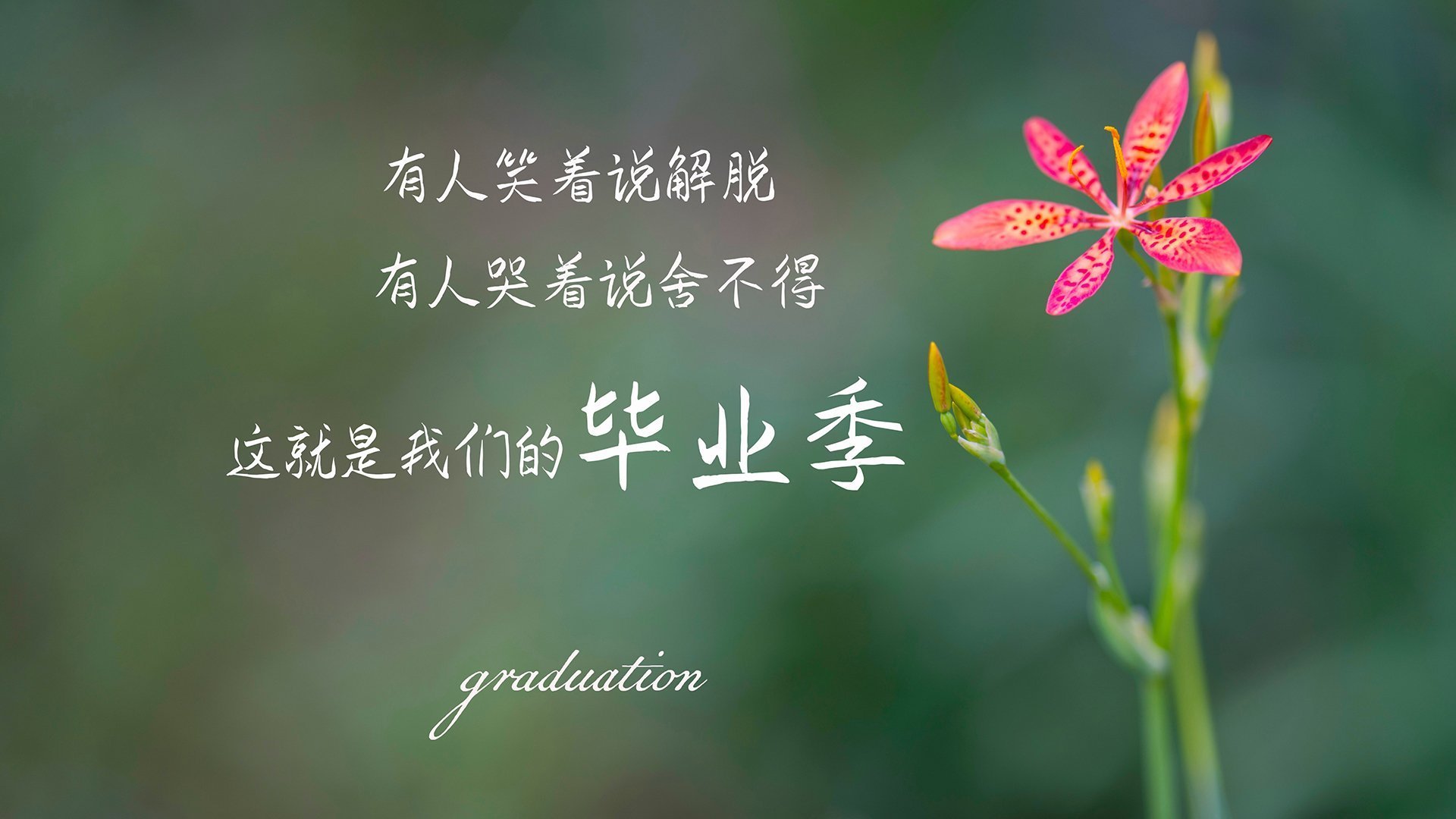 唯一性的交响,F1年度争冠之夜与卡马文加的大场面艺术