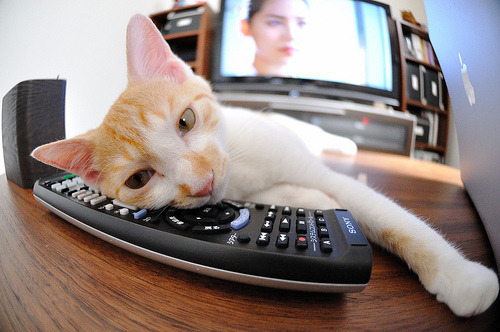 欧文末节15分化身魔法师！奇才爆冷胜快船，谁说天已经亮了？