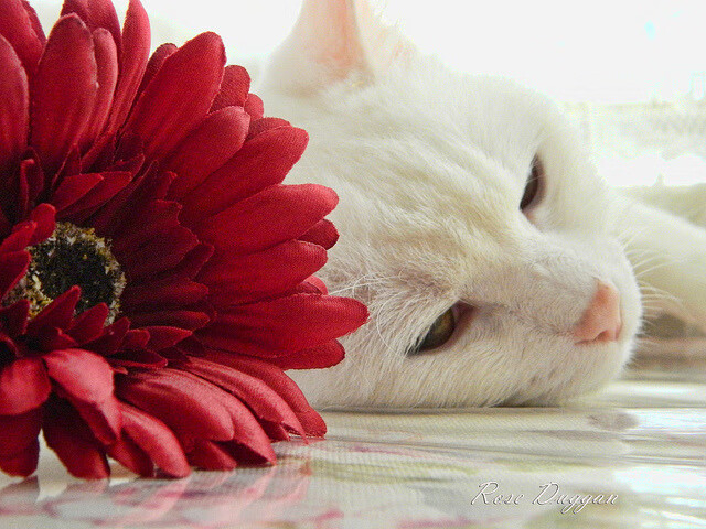 利拉德时间与雷霆风暴，新旧篮球哲学的时代分野