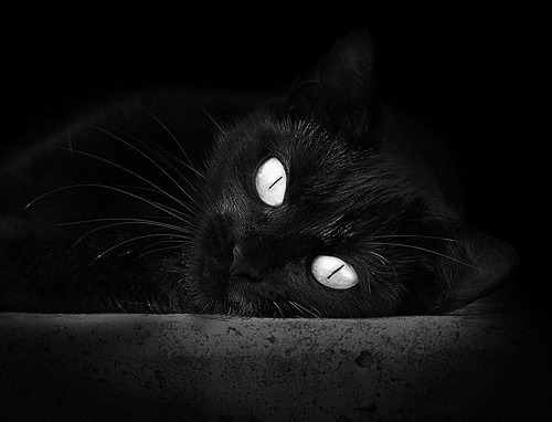 澳大利亚踏平毕尔巴鄂，托尼在美加墨世界杯的接管时刻