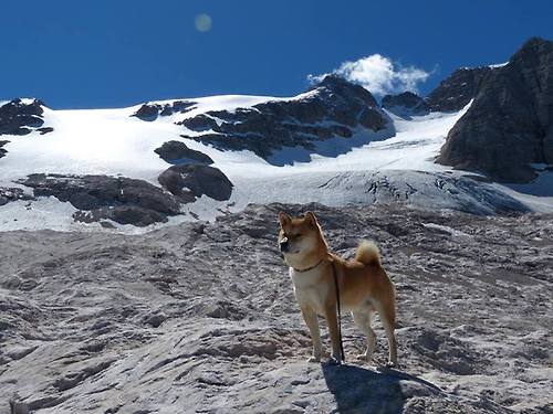 篮球馆熄灯30秒，当本泽马在NBA总决赛接管攻防两端