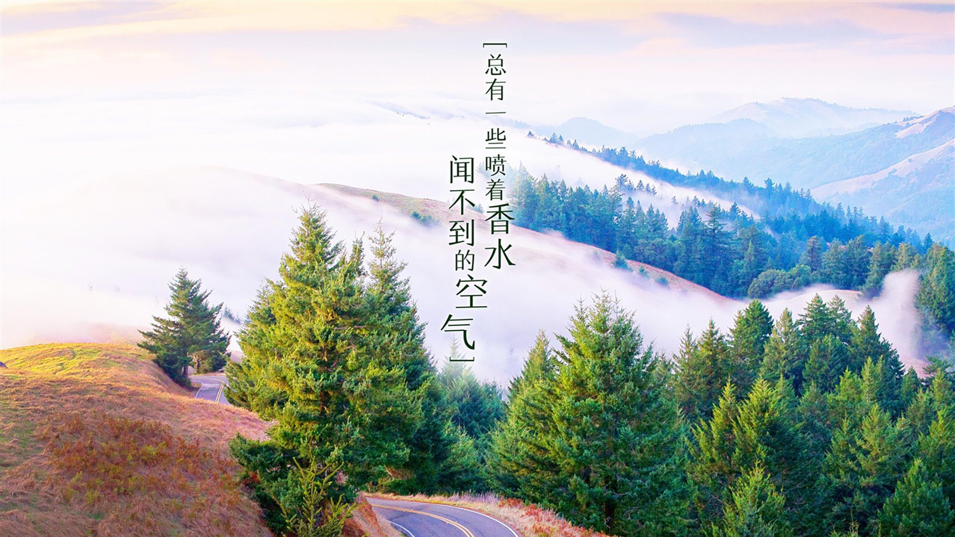 2026,沙漠与湄公河之间,一场由楚庄王定义的唯一性战役