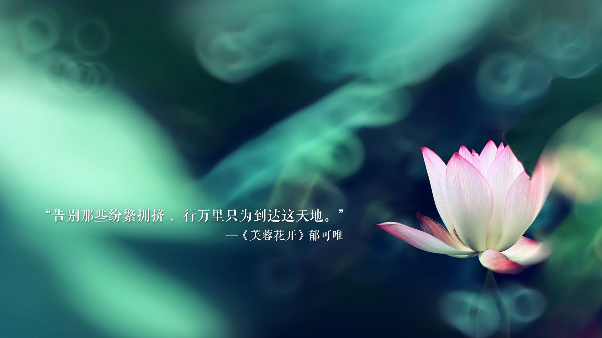 唯一的一击,当水银泻地遇上冷血一击—2026世界杯D组西班牙大胜泰国记