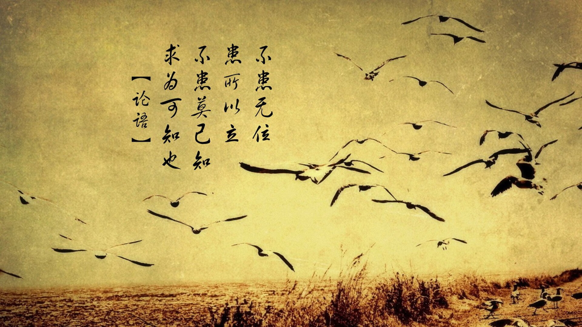 (三选一,推荐使用第三个)